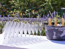 a group of wine glasses on a table
