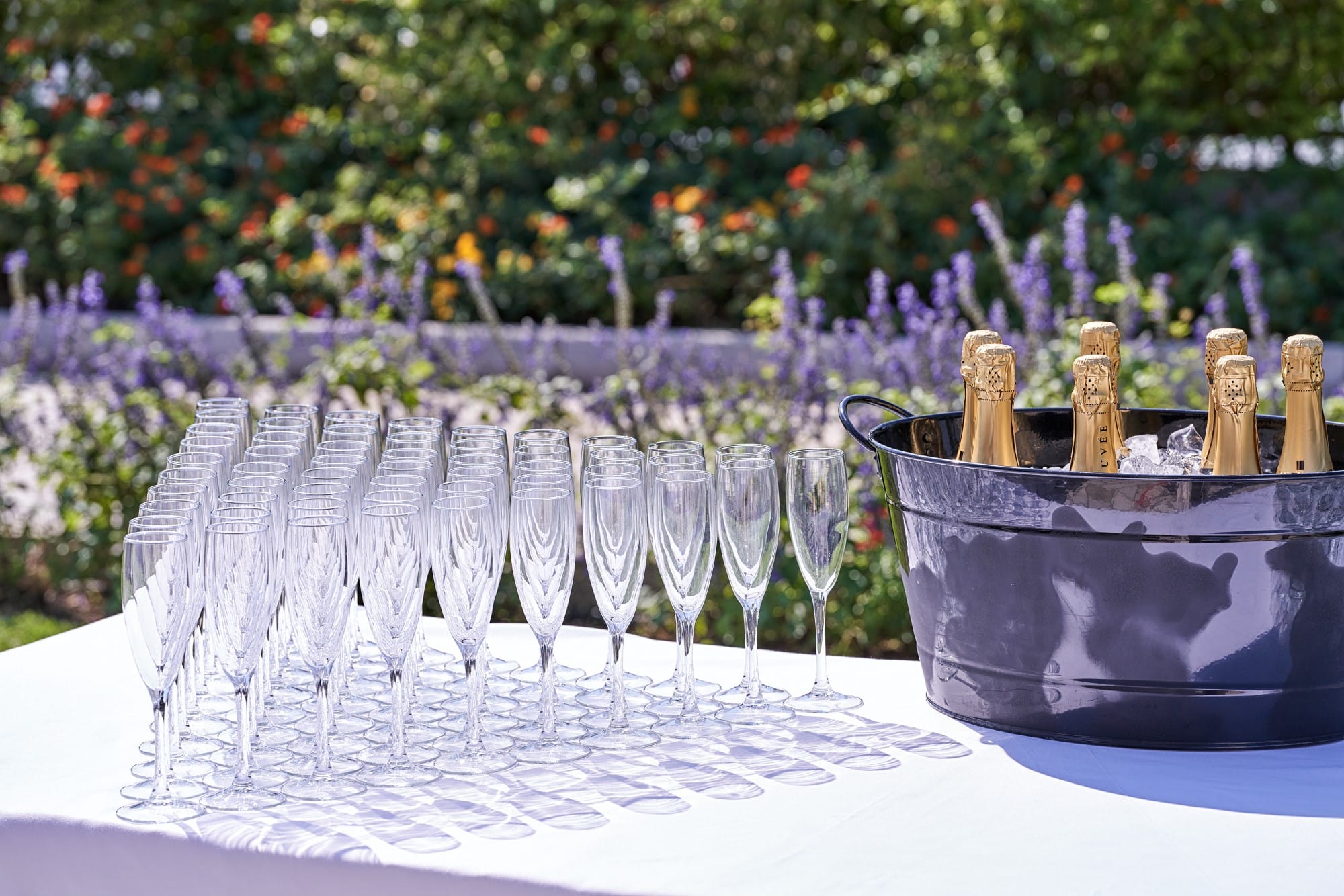 a group of wine glasses on a table