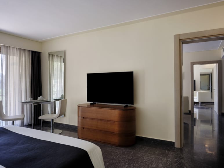 a room with a tv and a bed