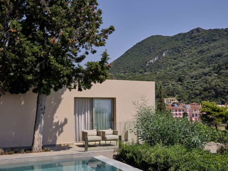 a pool and a tree by a house with a hill in the background