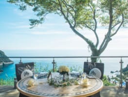 a table with a tree and a body of water in the background