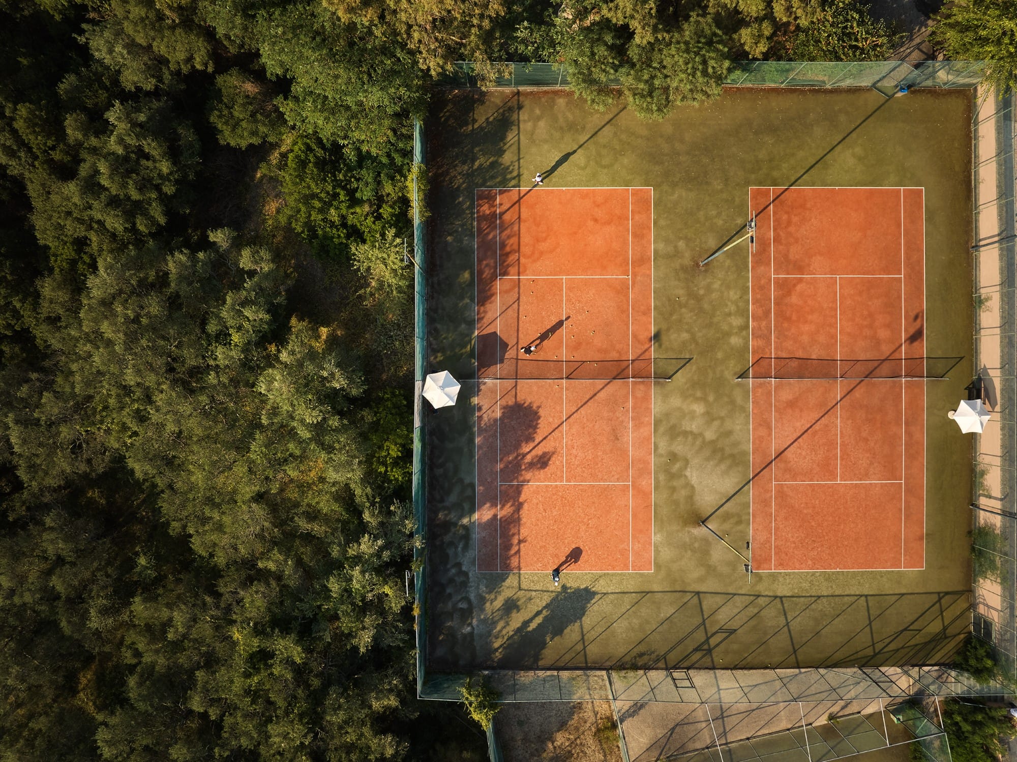 a brick wall with a brick wall and trees