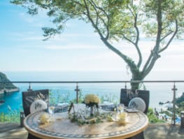 a table with a tree and a body of water in the background