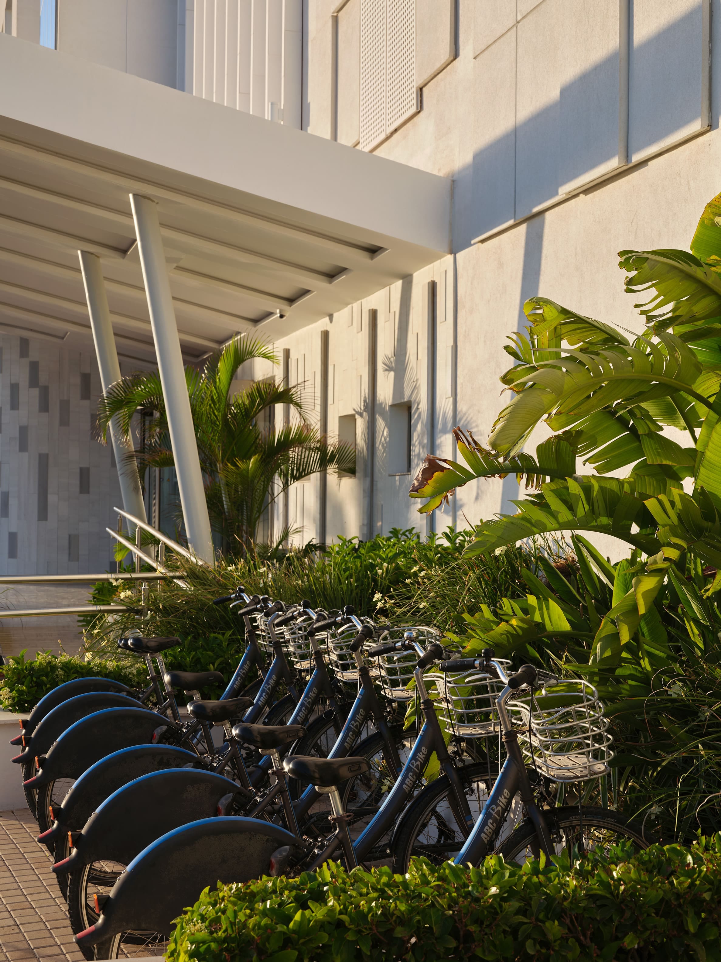 a row of bicycles parked outside a building