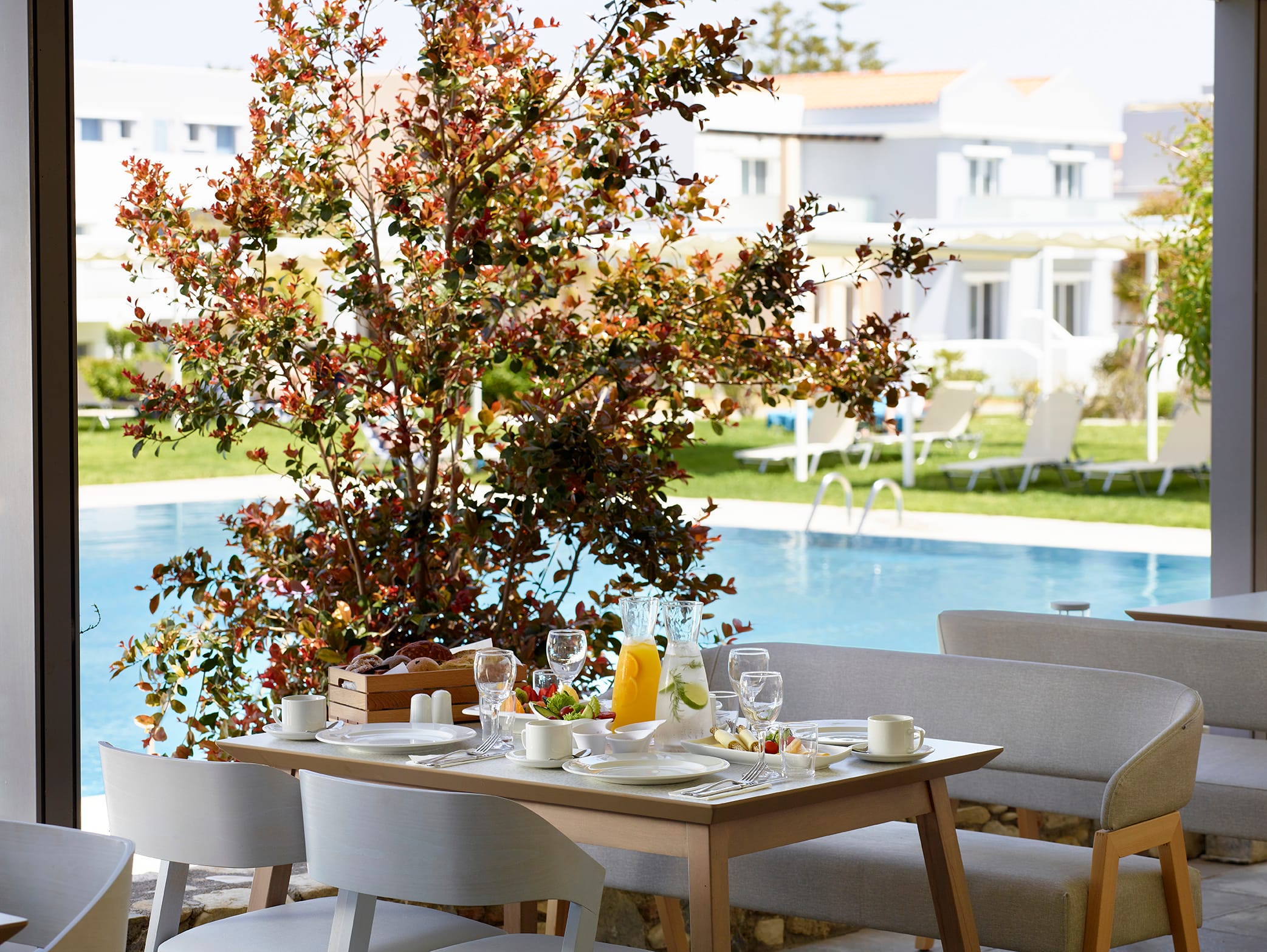 a table with a tree and chairs by a pool