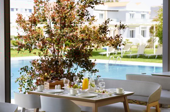 a table with a tree and chairs by a pool