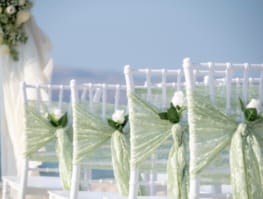 a close-up of some flowers