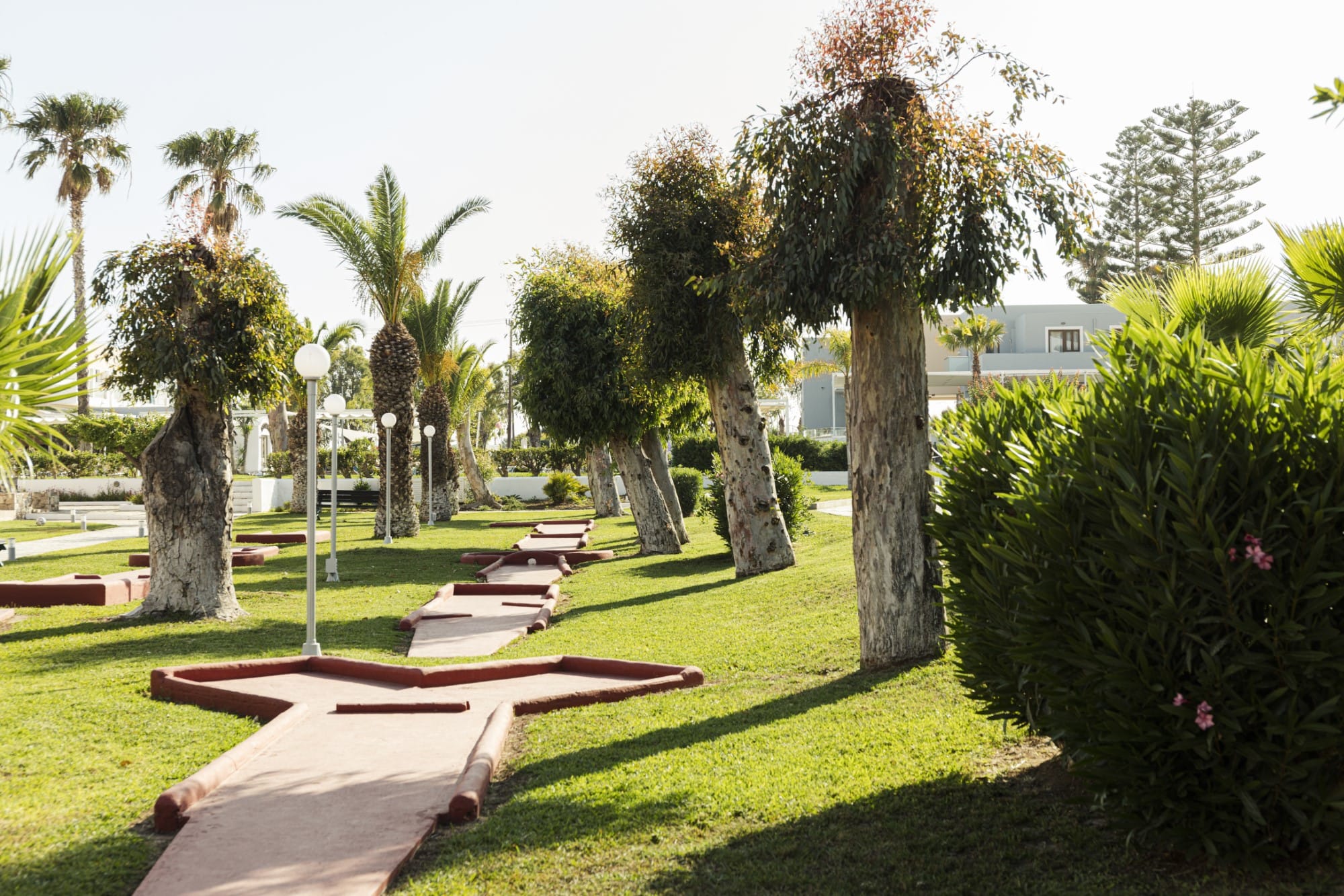 a park with trees and benches
