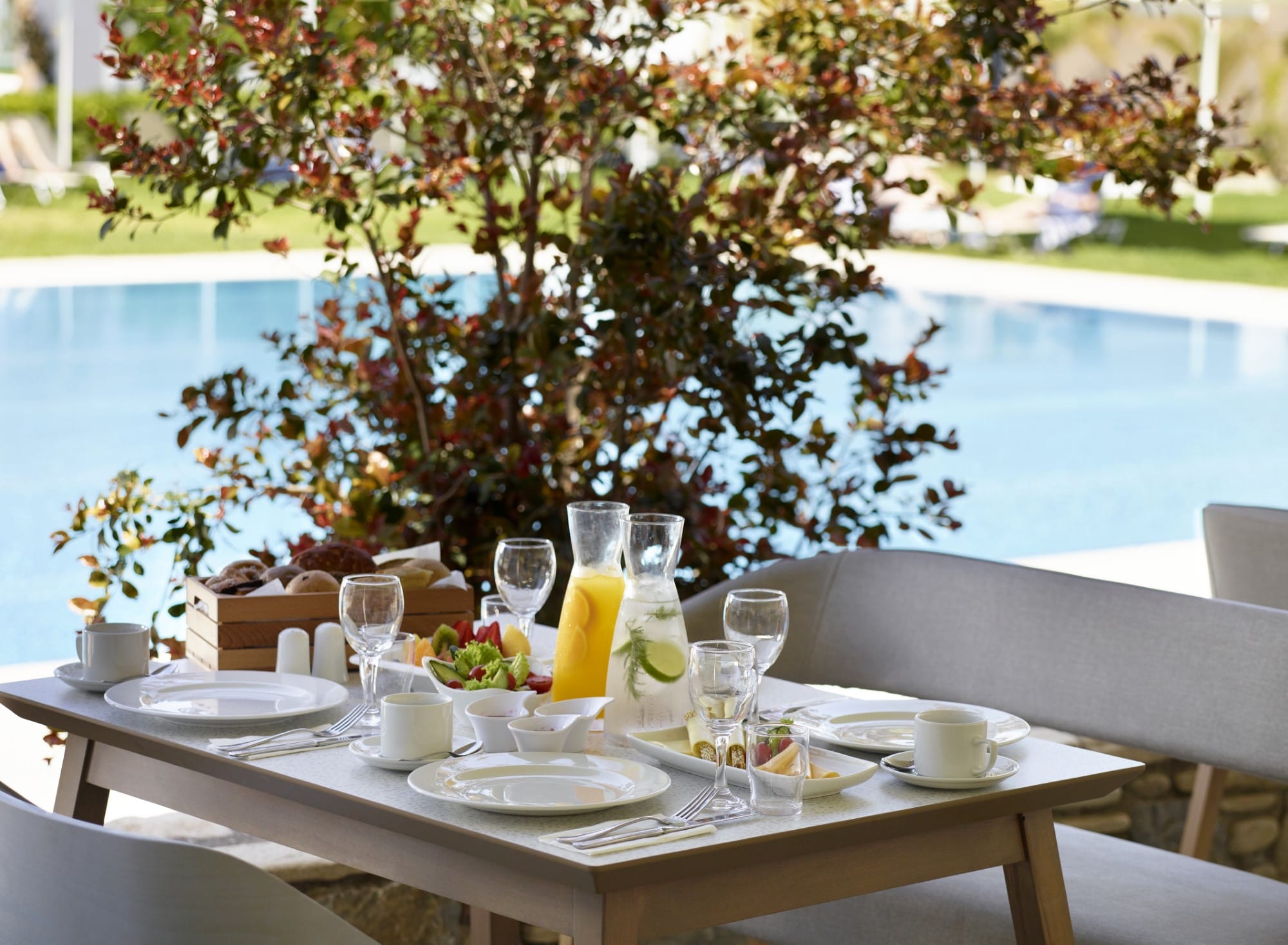 a table with plates and glasses on it by a tree