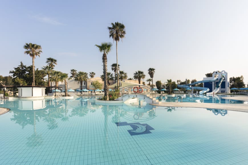 a pool with palm trees