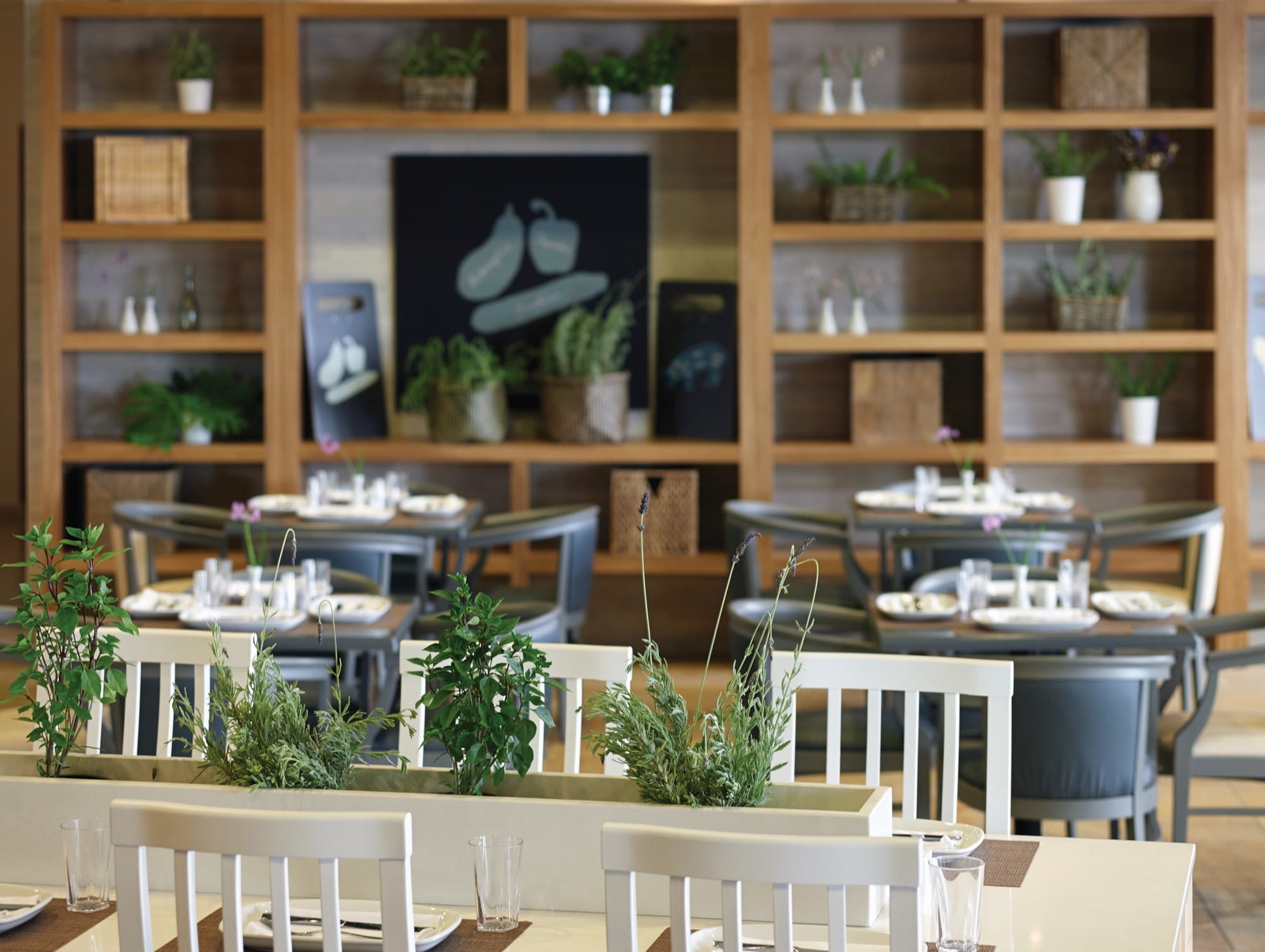 a room with shelves and chairs