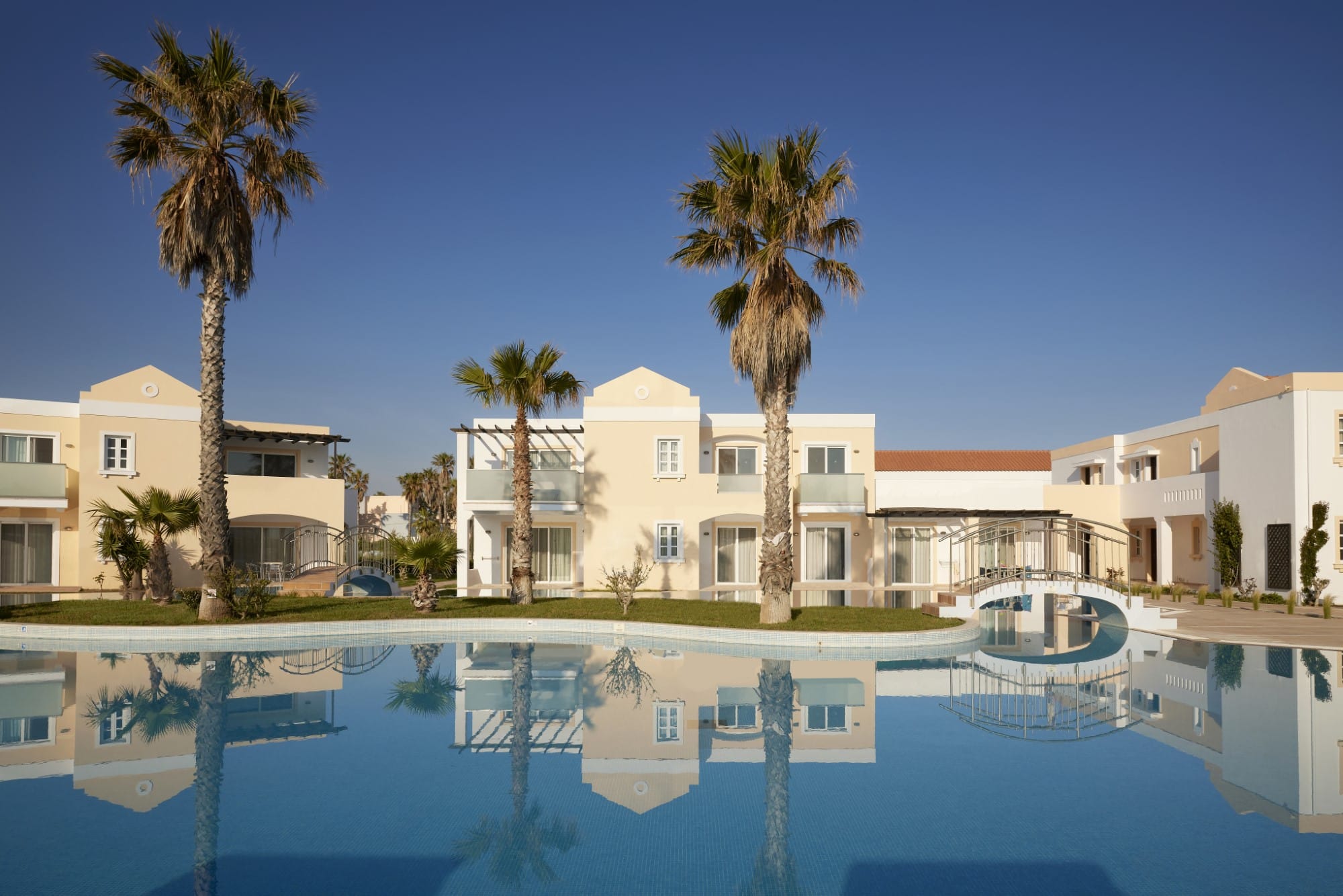 a pool with palm trees and buildings around it