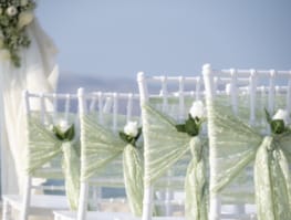 a close-up of some flowers