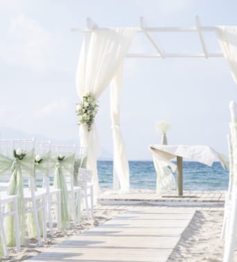 a white canopy with white flowers