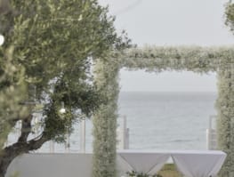 a tree with snow on it