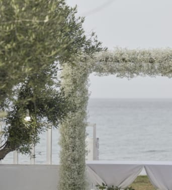 a tree with snow on it