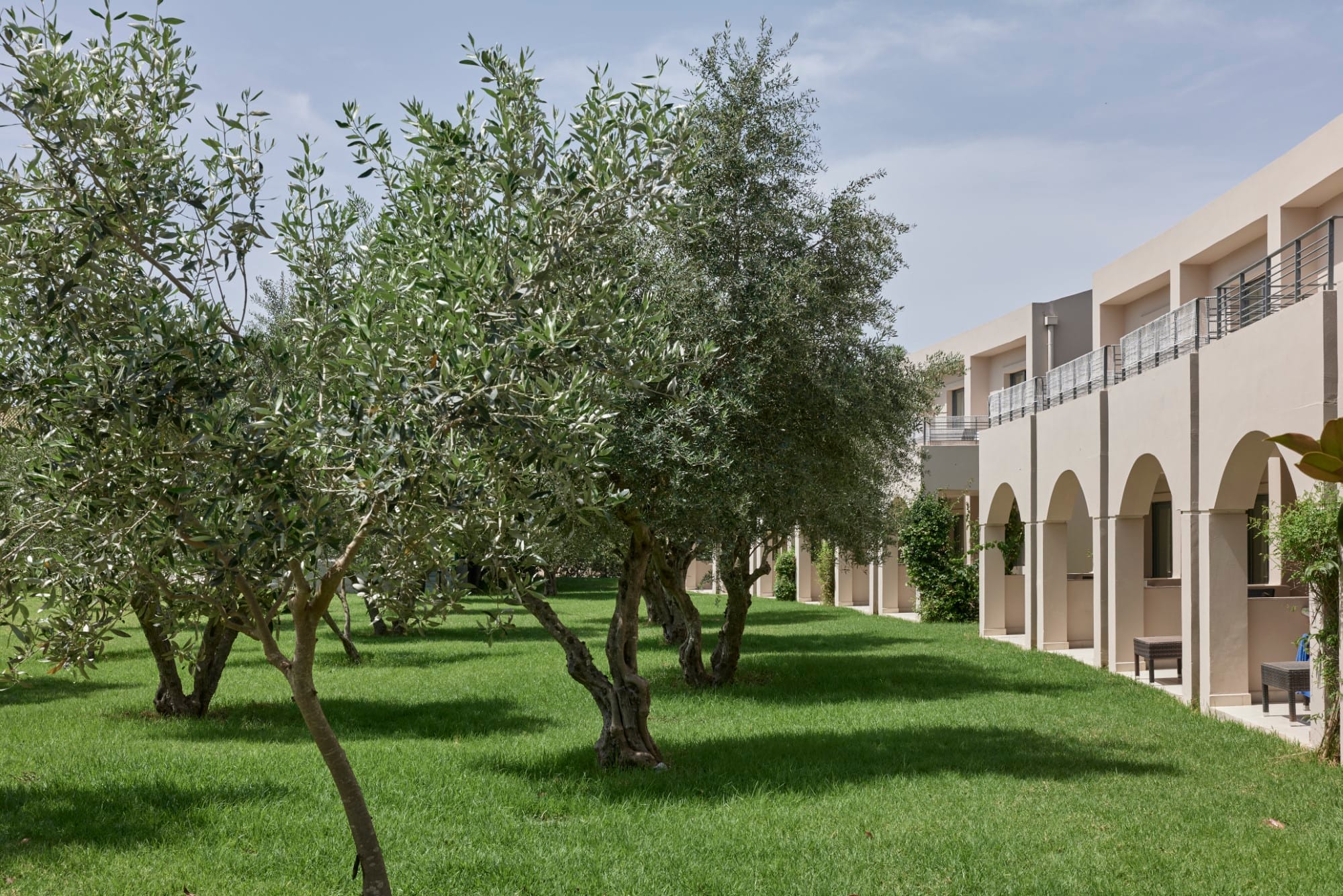 a group of trees in a grassy area next to a building