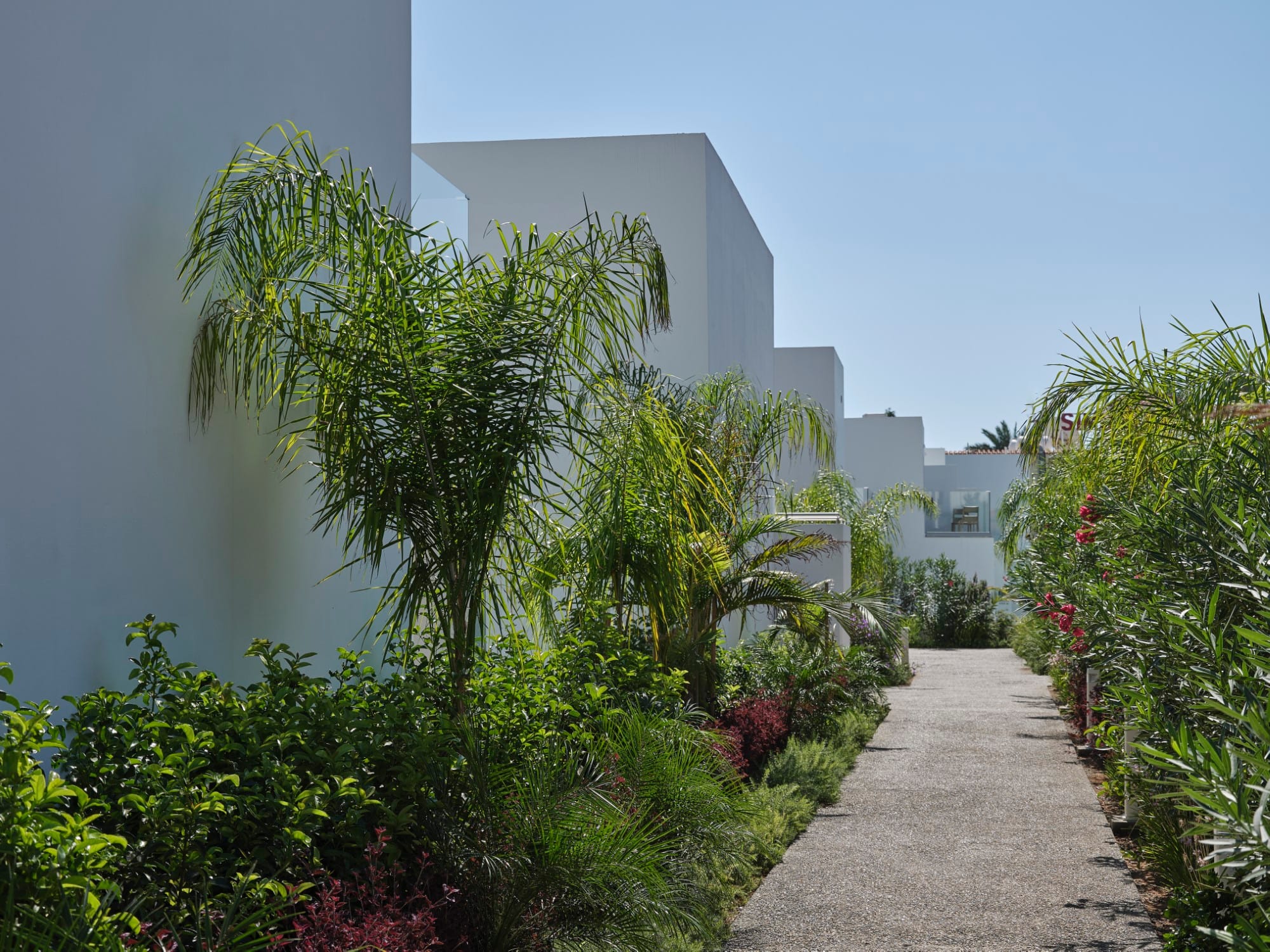 a path between buildings