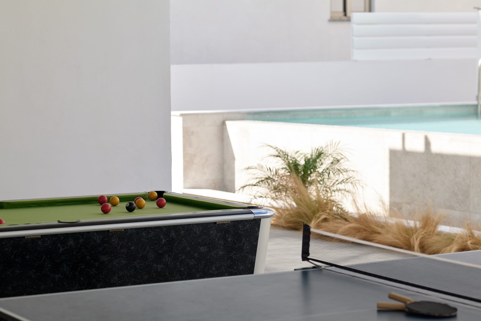 a table with a plant on it