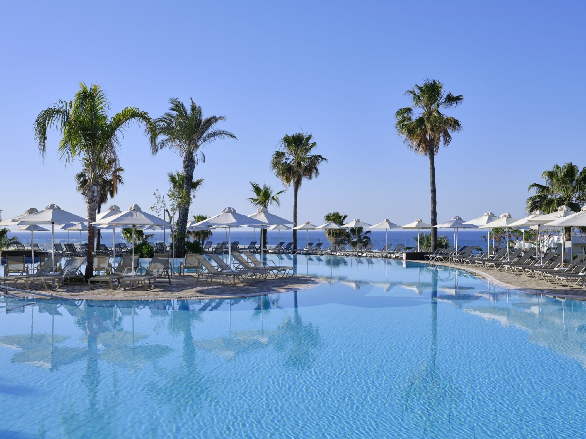 a pool with palm trees and a beach with umbrellas