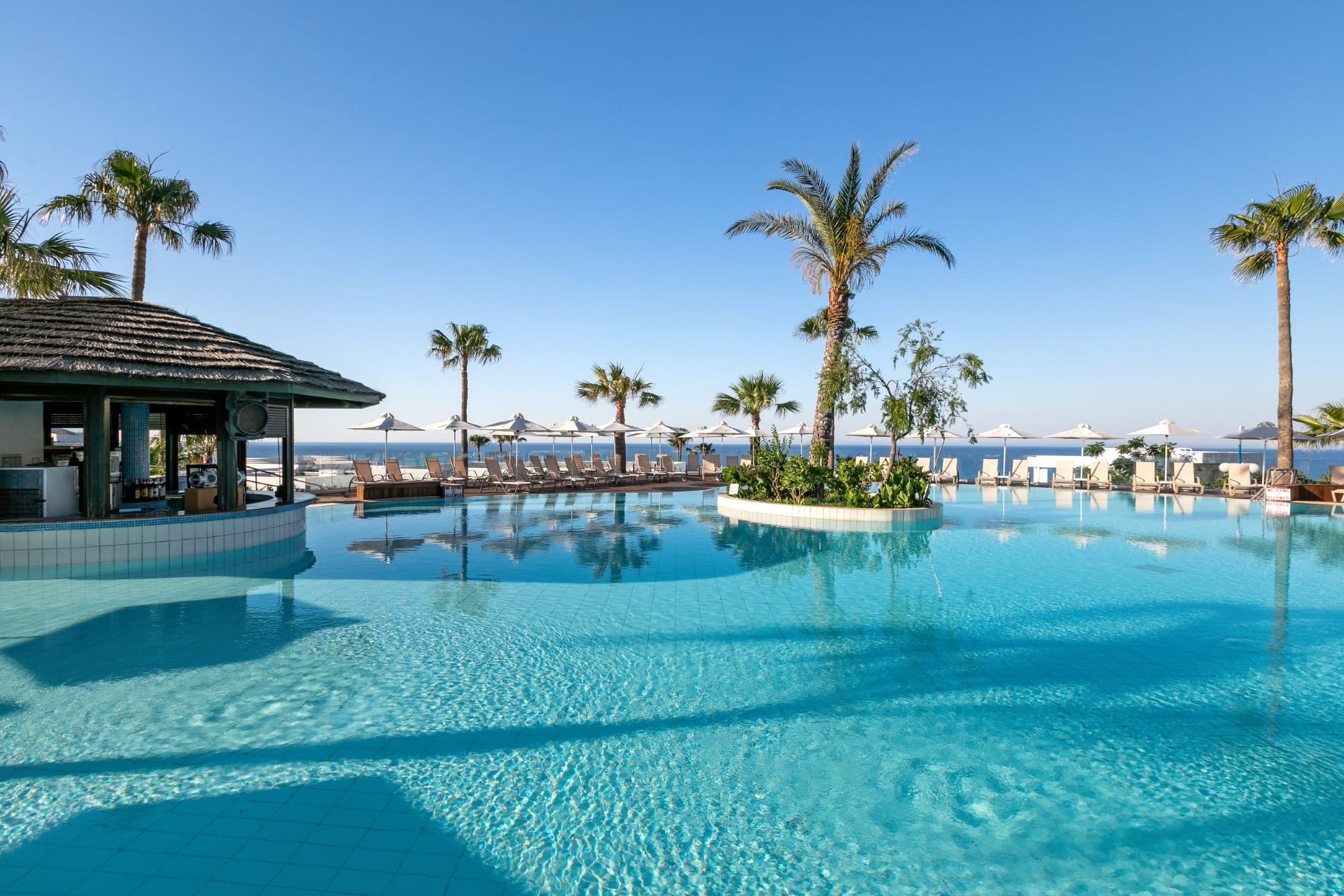 a pool with palm trees and a building in the background