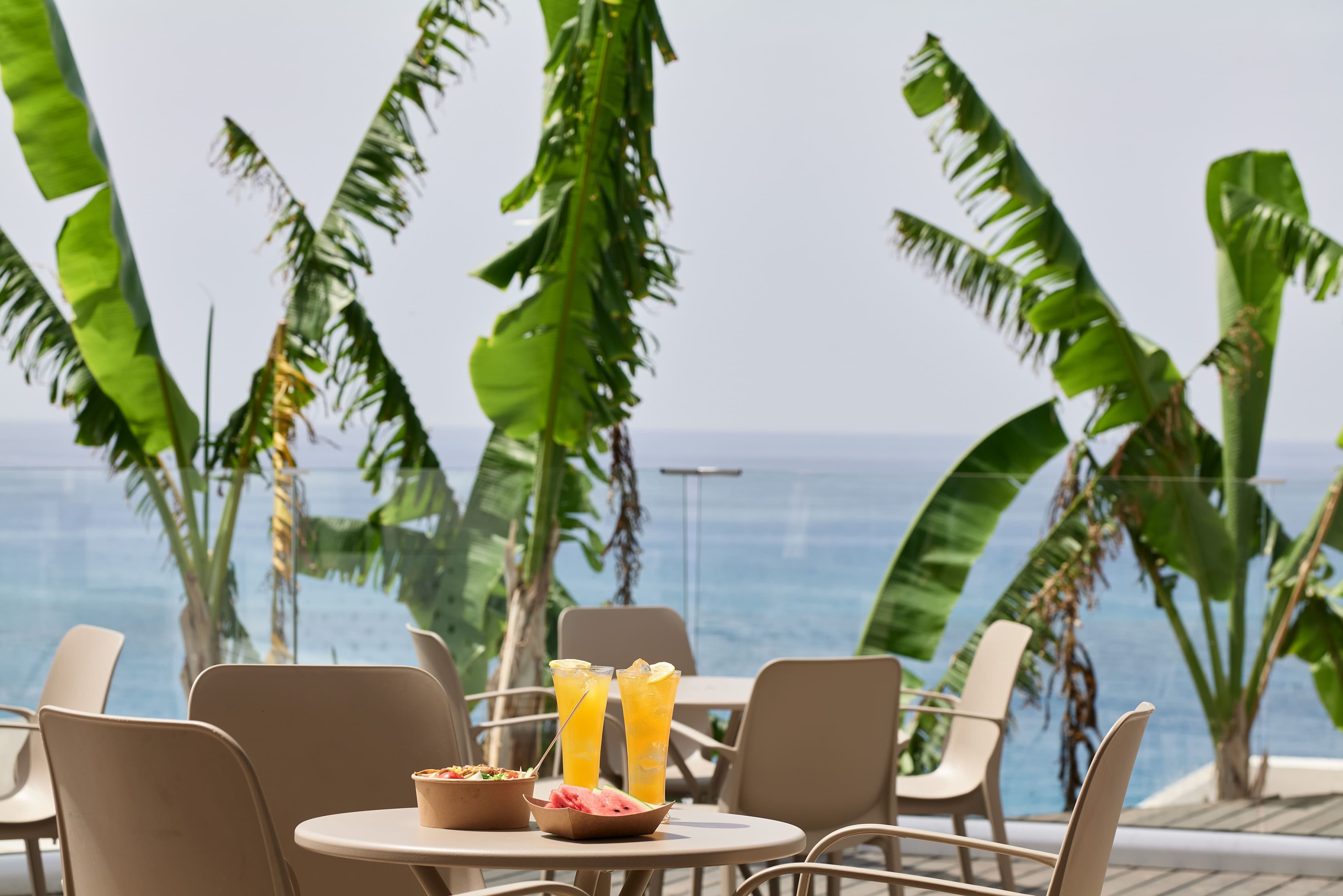 a table with chairs and a plant on it by a body of water