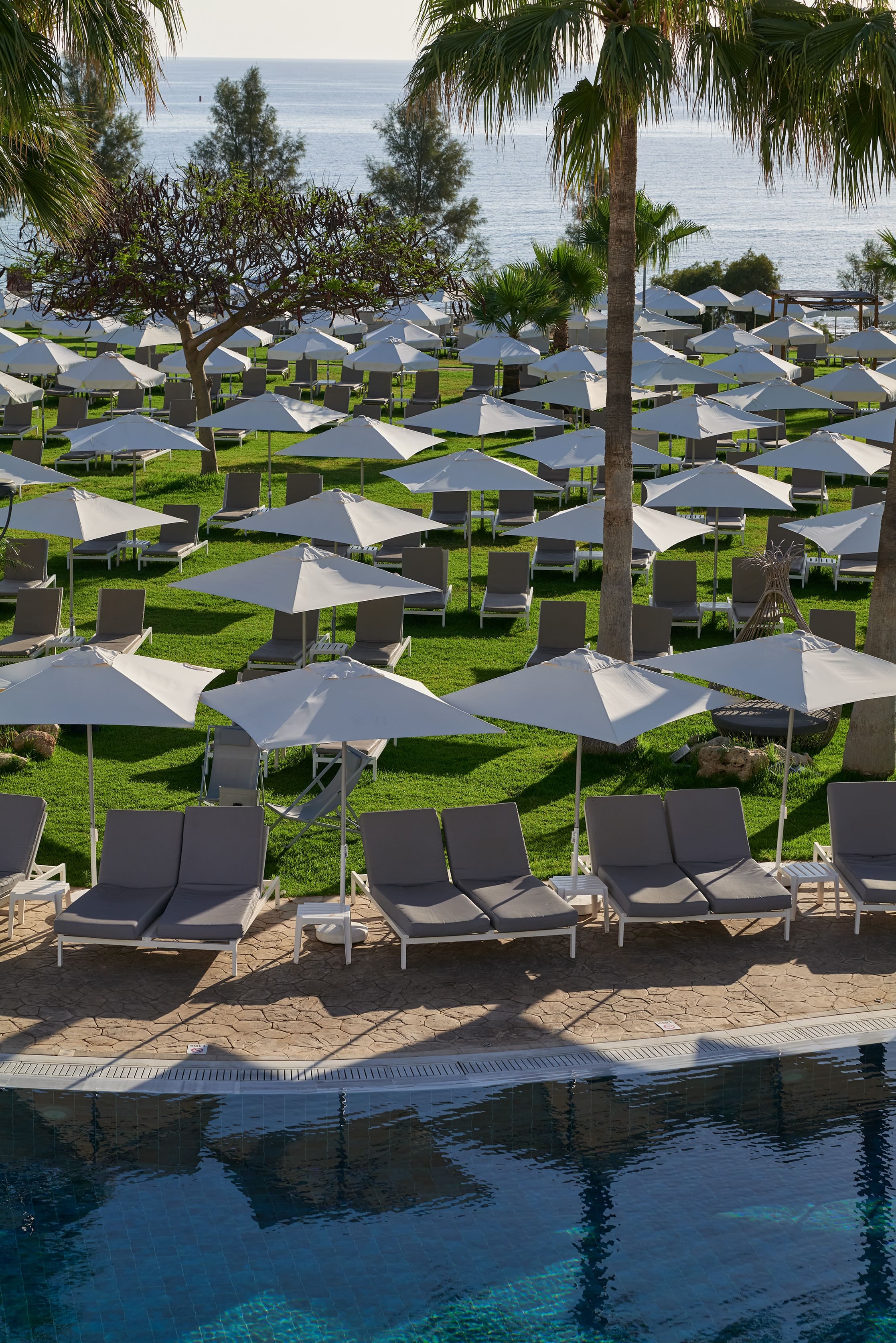 a pool with chairs and umbrellas