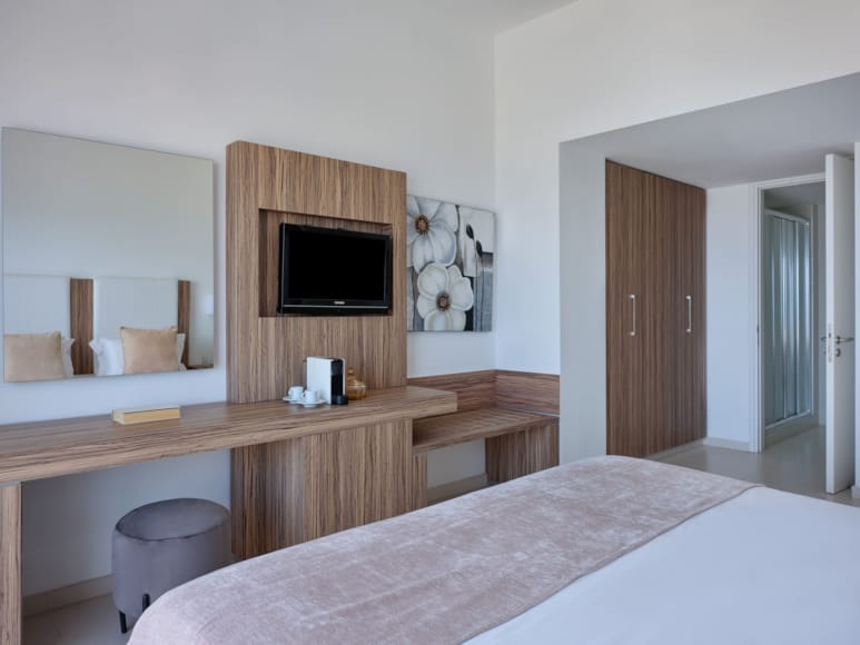 a room with a bed and a tv