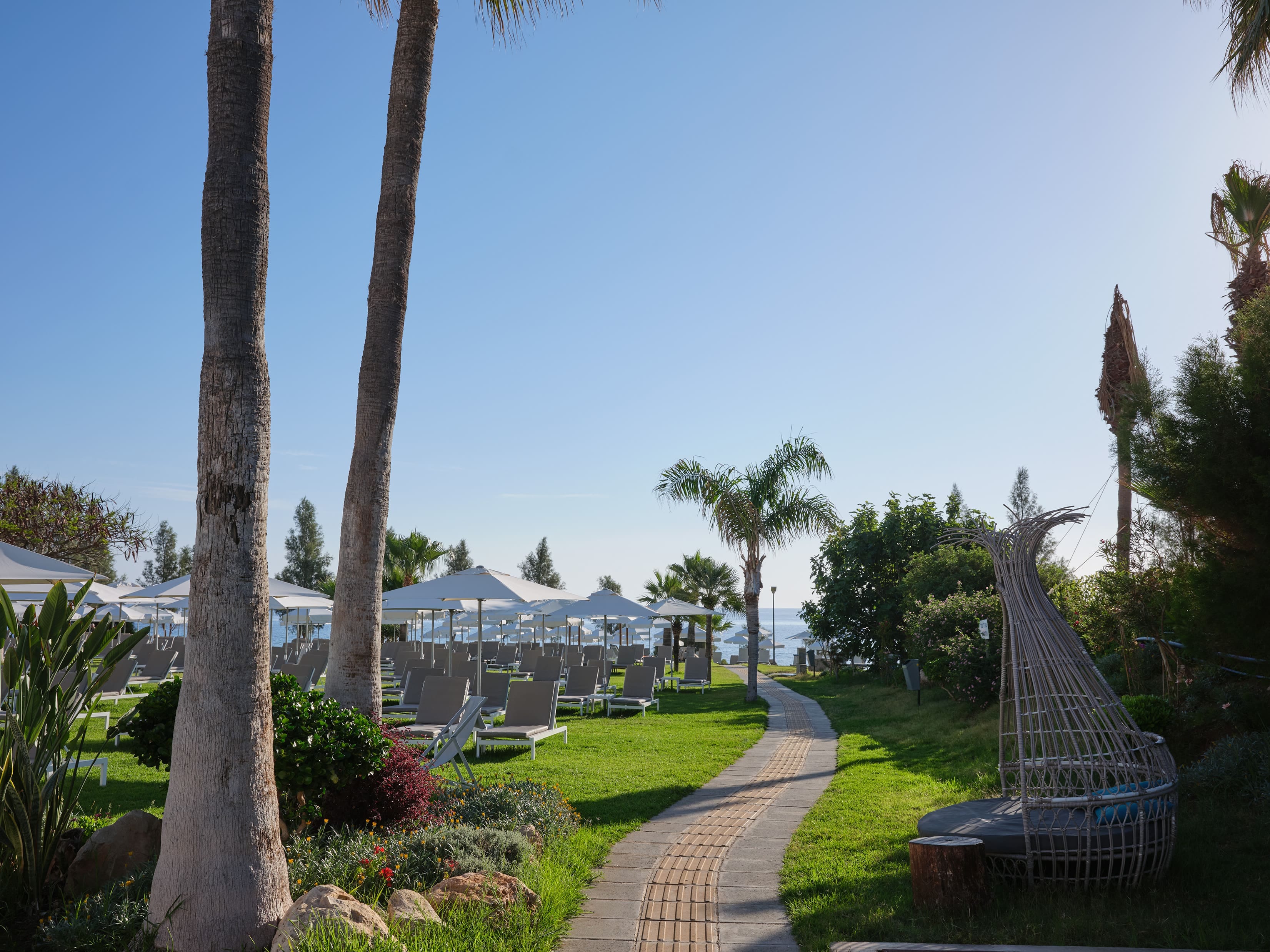 a path with trees and grass