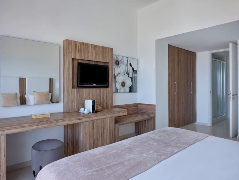 a room with a bed and a tv