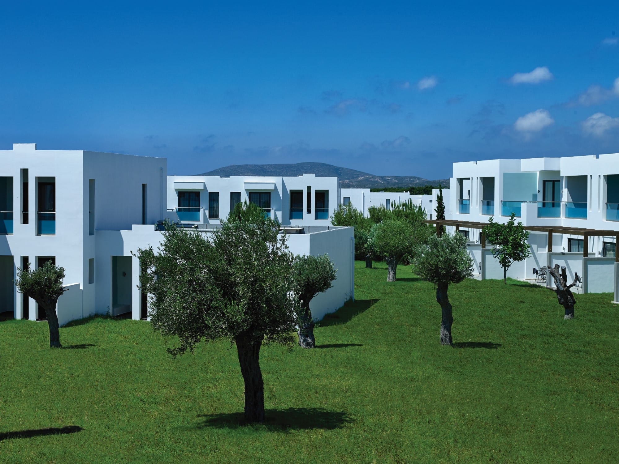 a few trees in front of a building