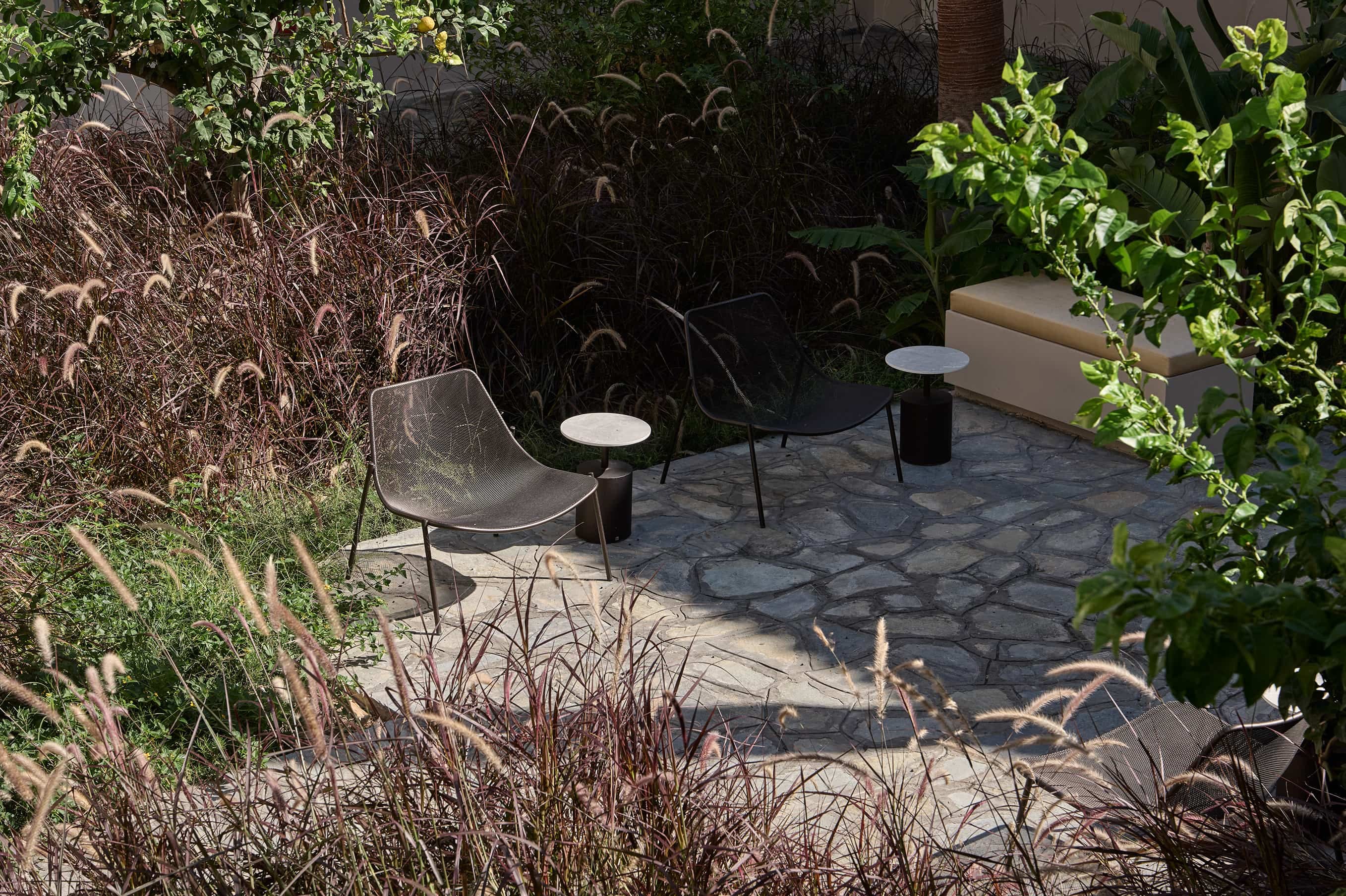 a chair outside with plants around it