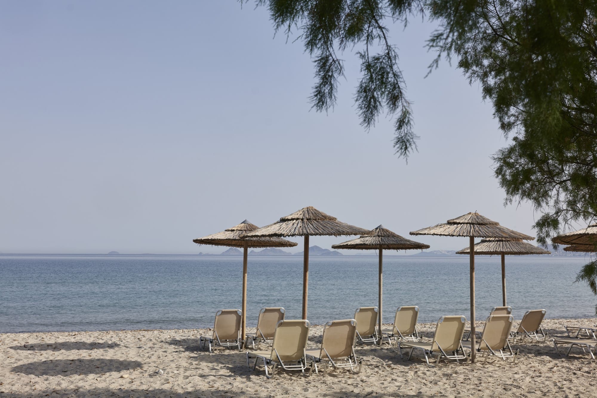 a beach with umbrellas and chairs