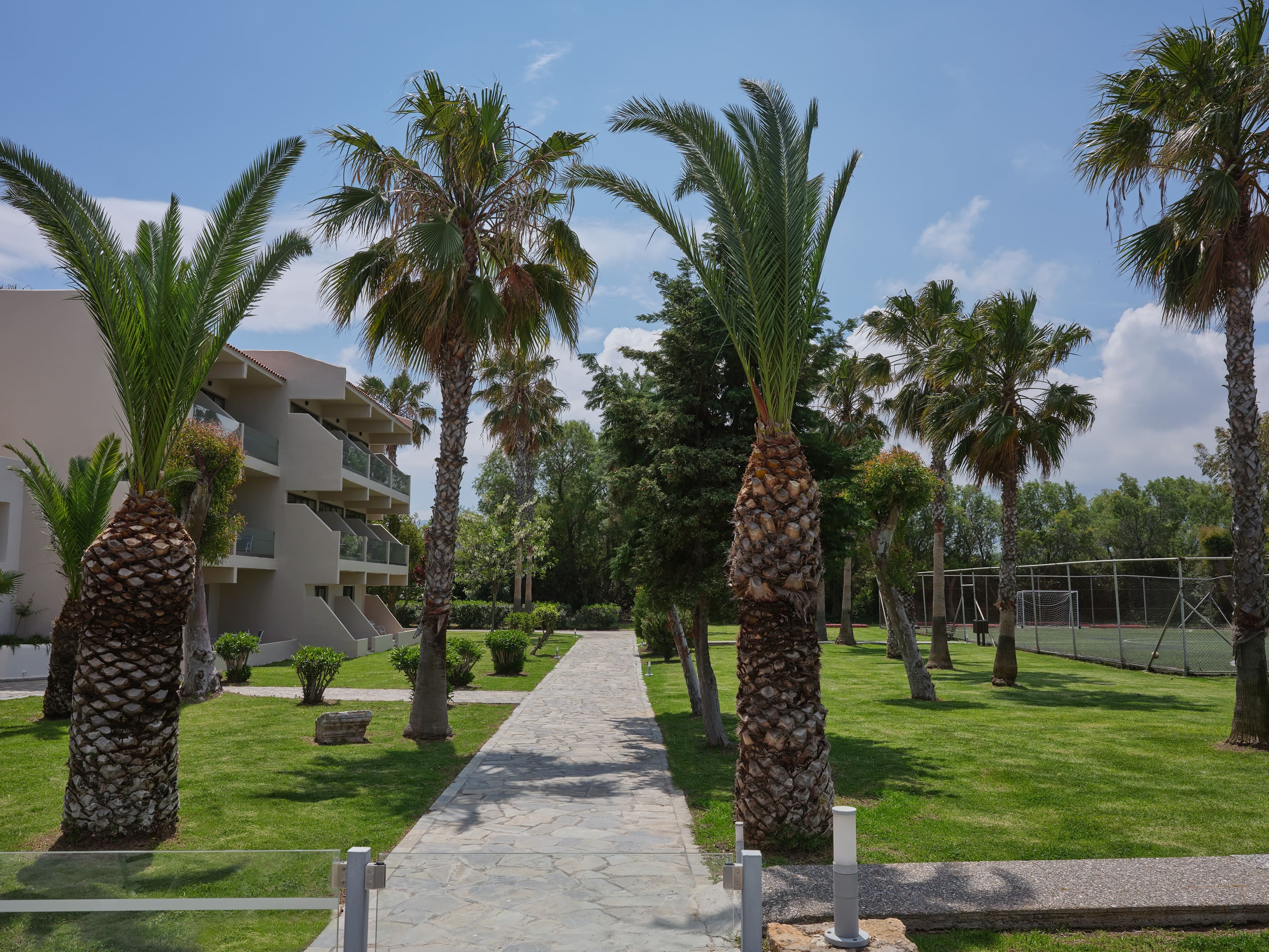a path with palm trees and a building in the background