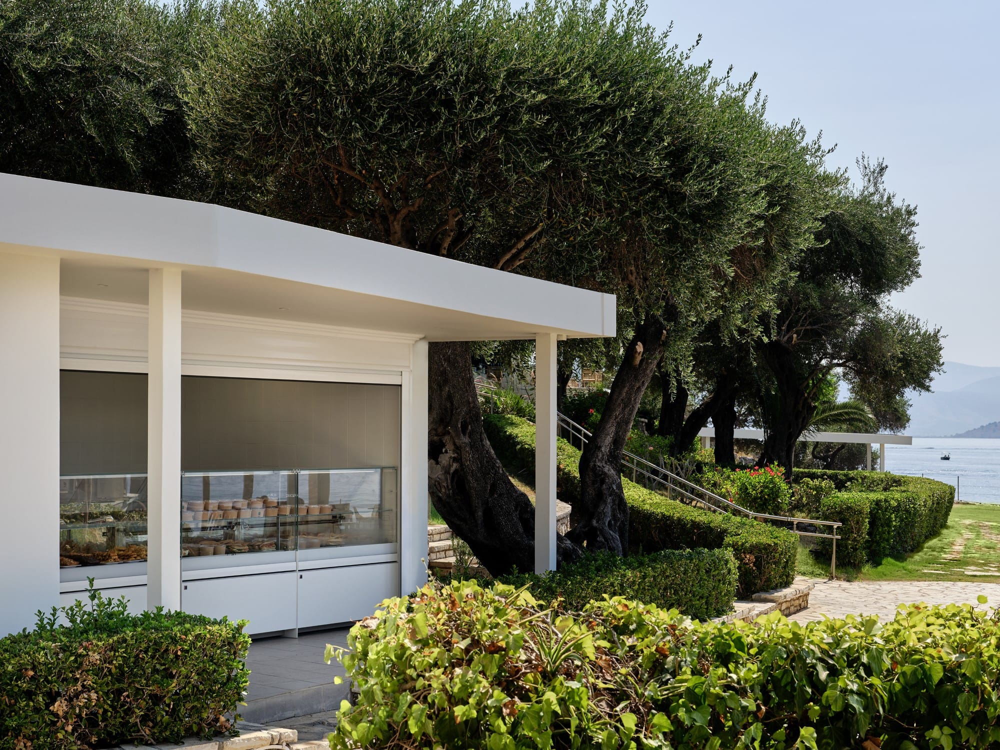 a house with a tree in the front