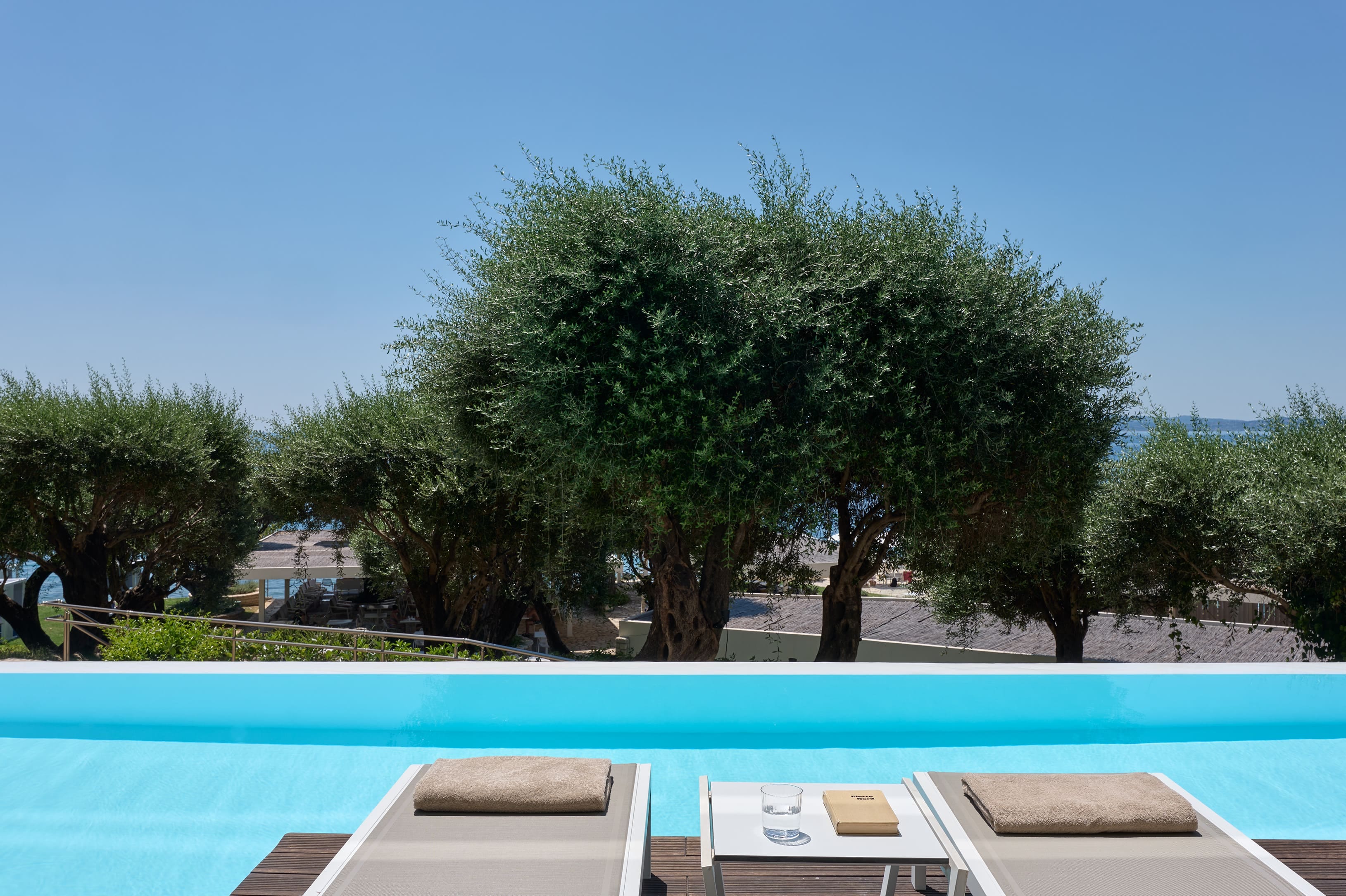 a pool with trees around it