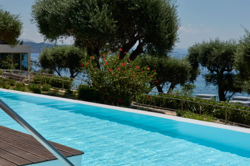 a pool with trees around it