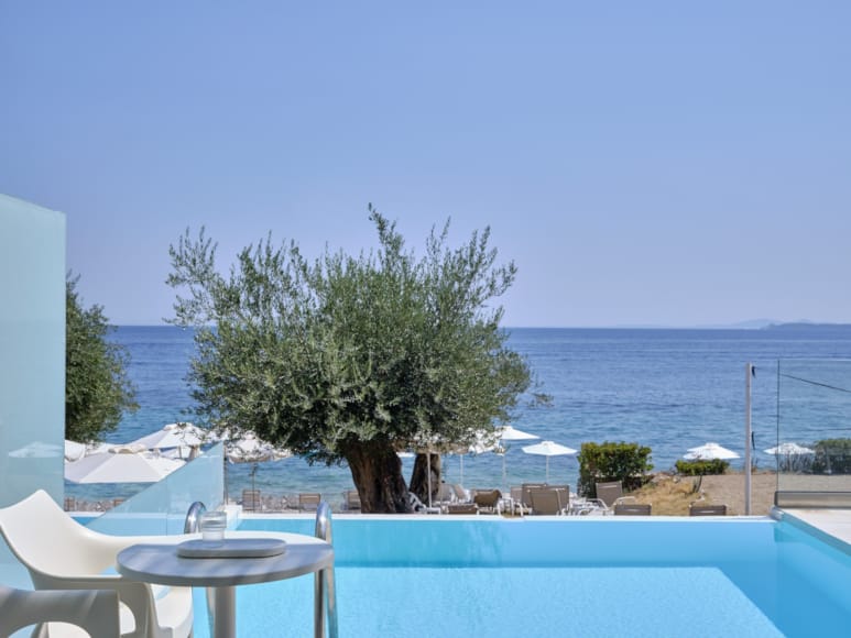 a pool with a tree in the middle of it