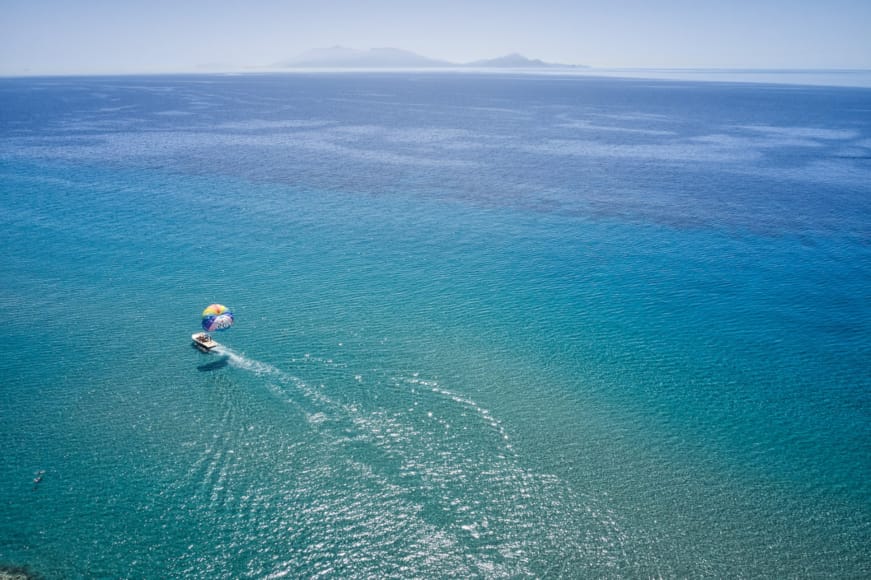 a duck swimming in the ocean