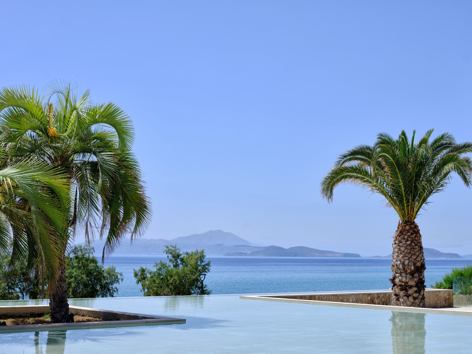 a tropical beach with palm trees