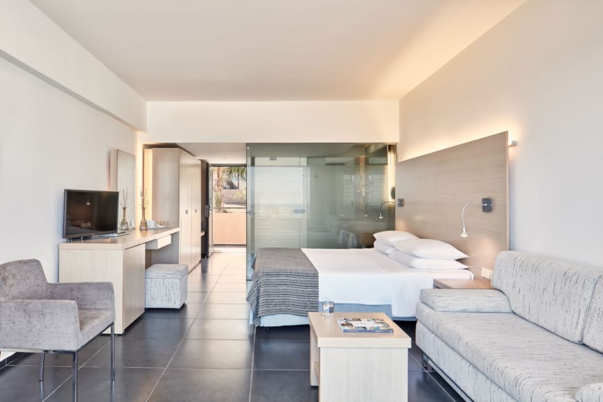 a room with a bed and a tv