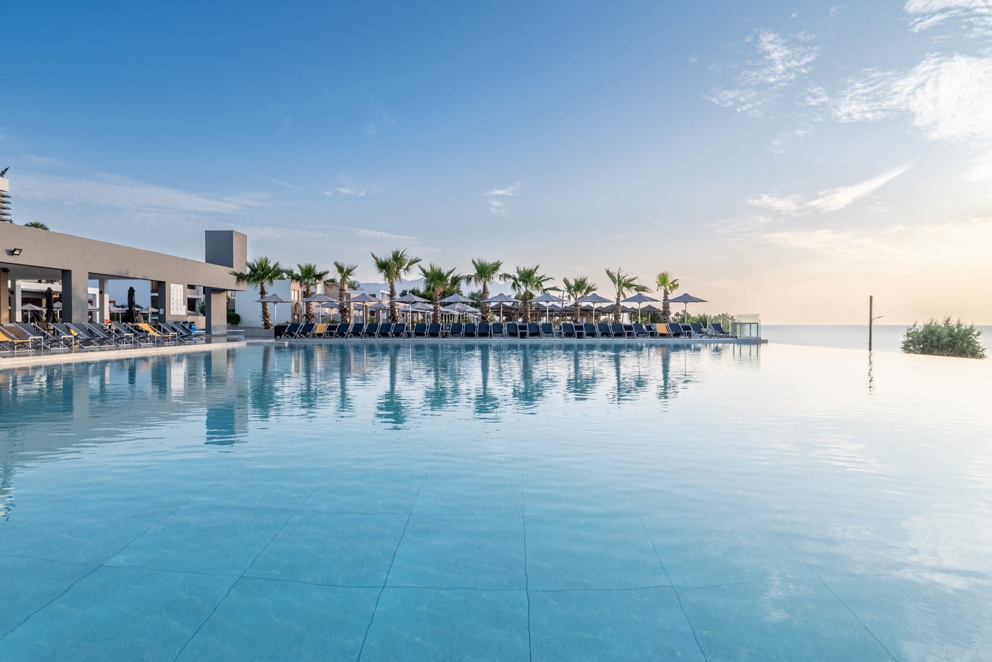 a pool of water with palm trees and a building in the background