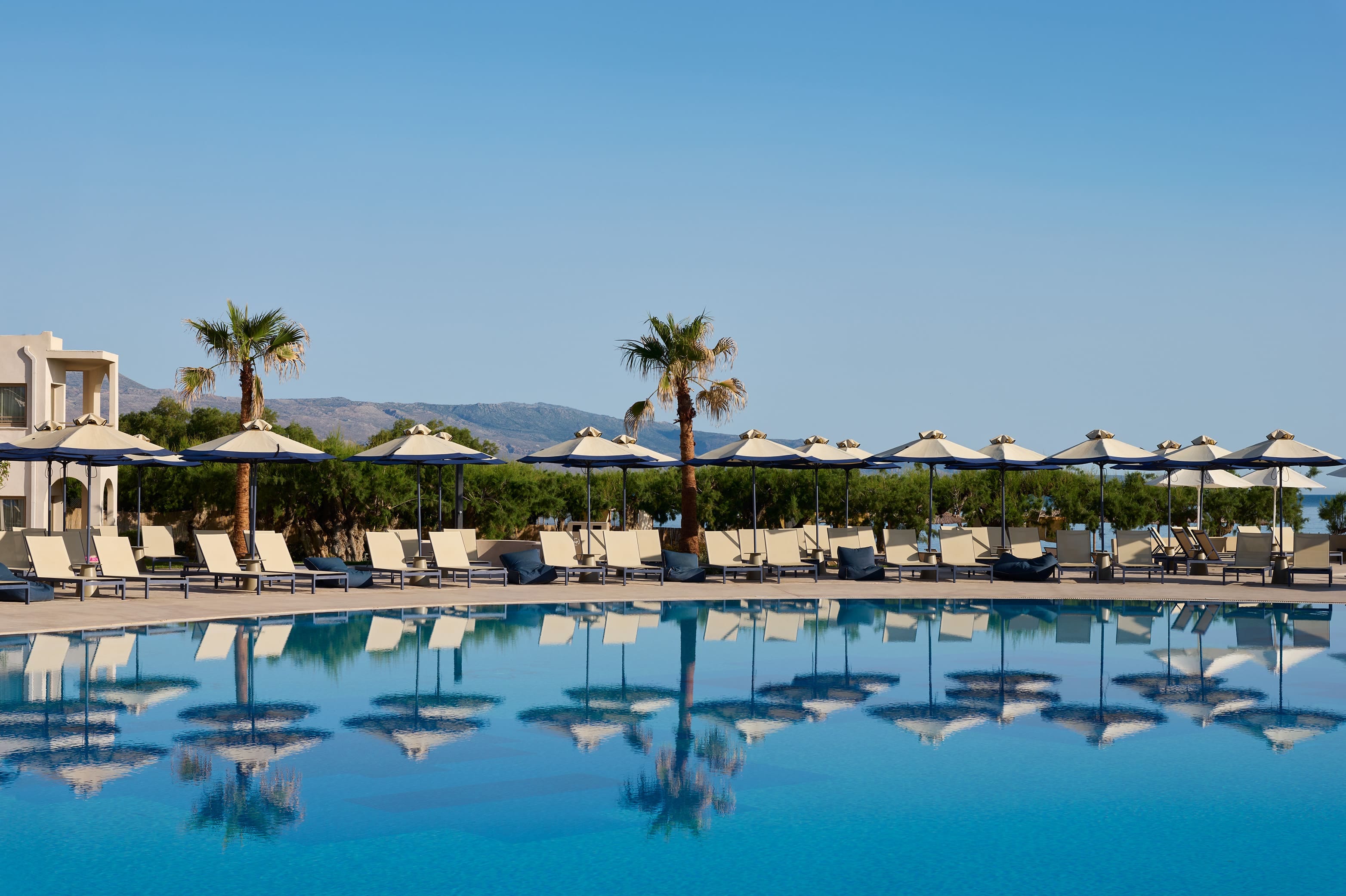a pool with umbrellas and chairs by a beach