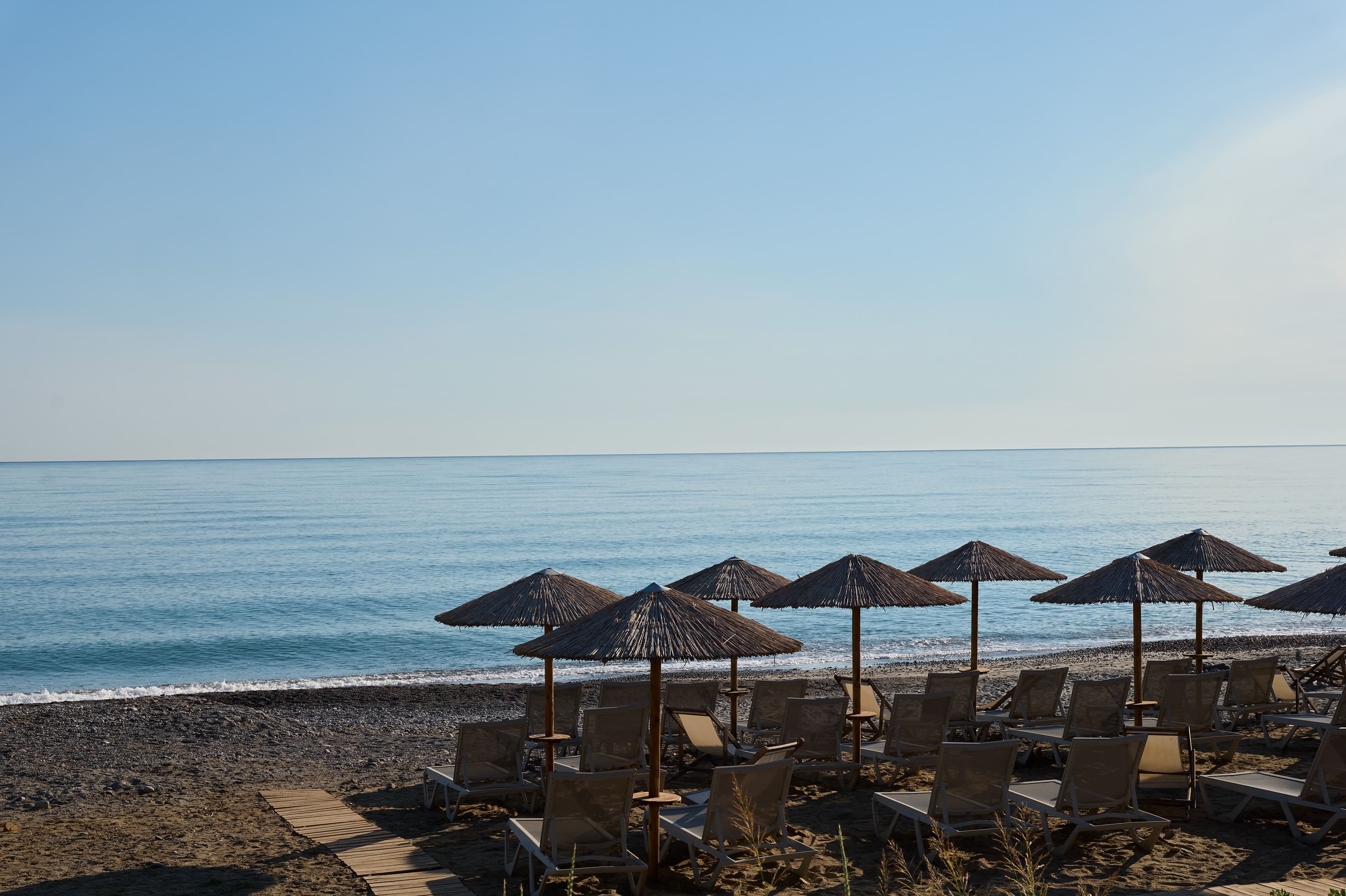 a beach with umbrellas