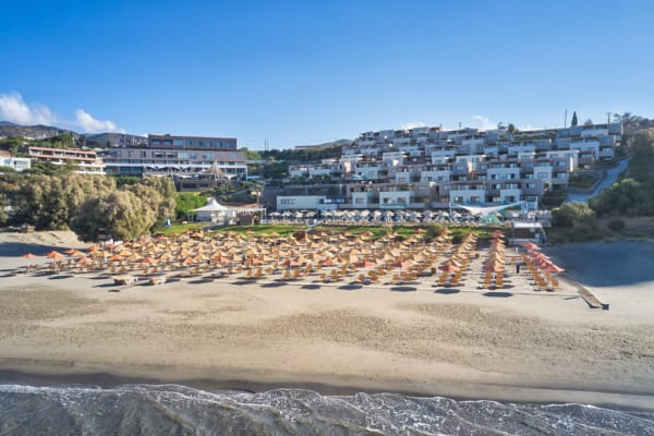 a large group of people on a beach