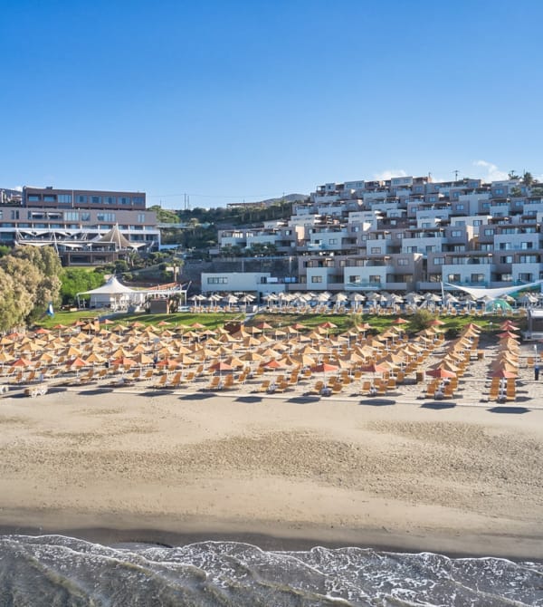 a large group of people on a beach