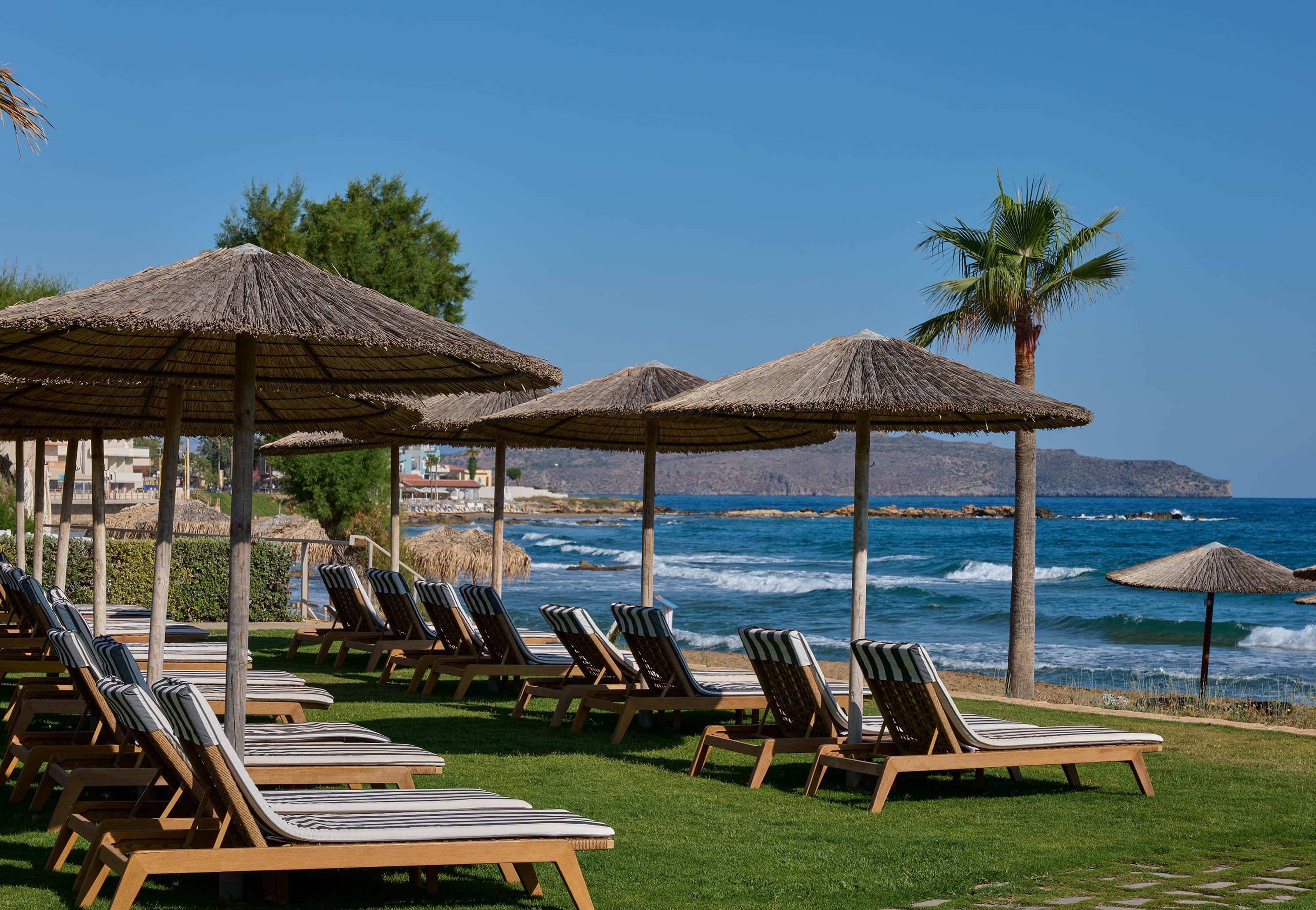 chairs and umbrellas on a beach