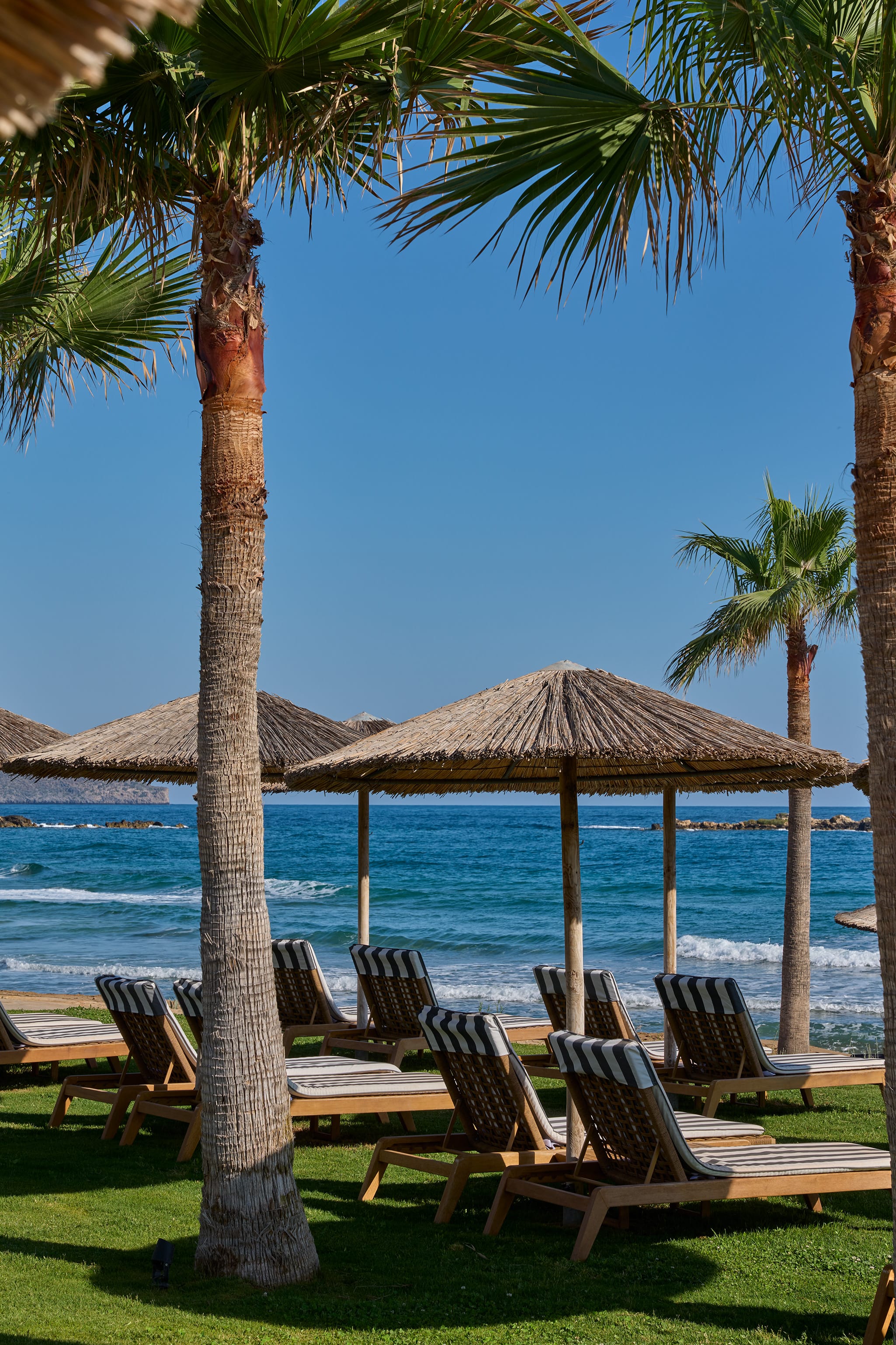 chairs and umbrellas on a beach