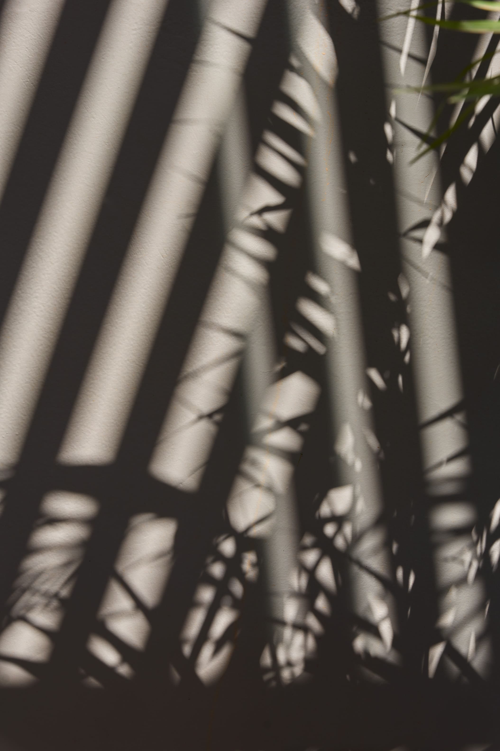 a close-up of a window