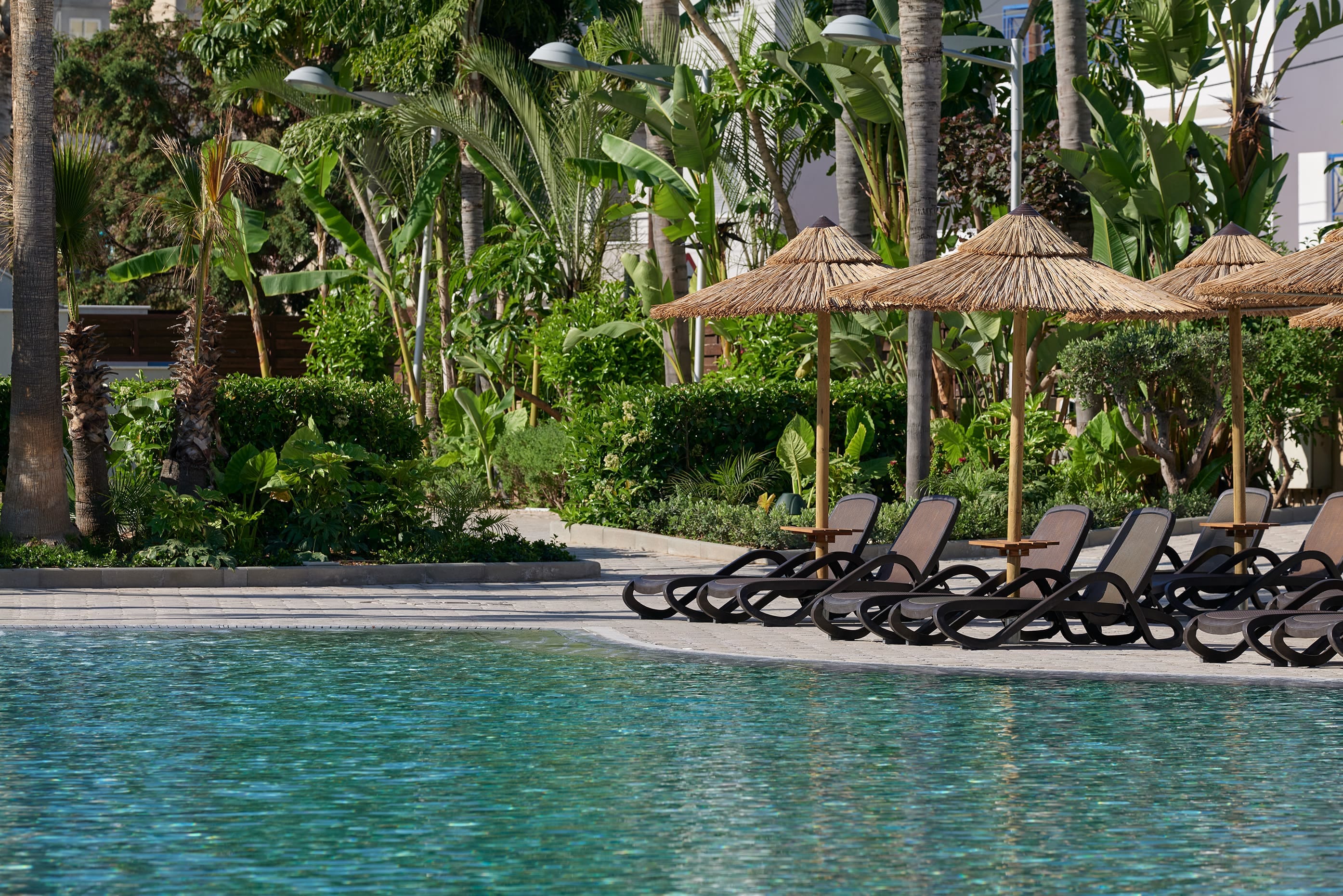 Tropical Poolside Loungers At The Atlantica Oasis Hotel In Limassol, Cyprus.
